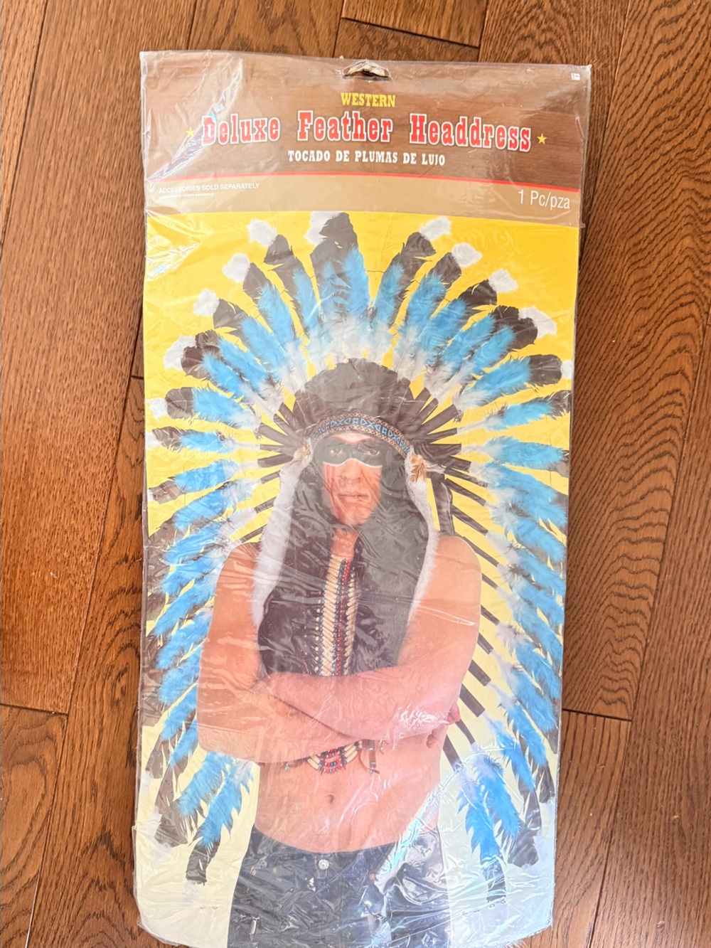 Mens Feather Headdress Costume